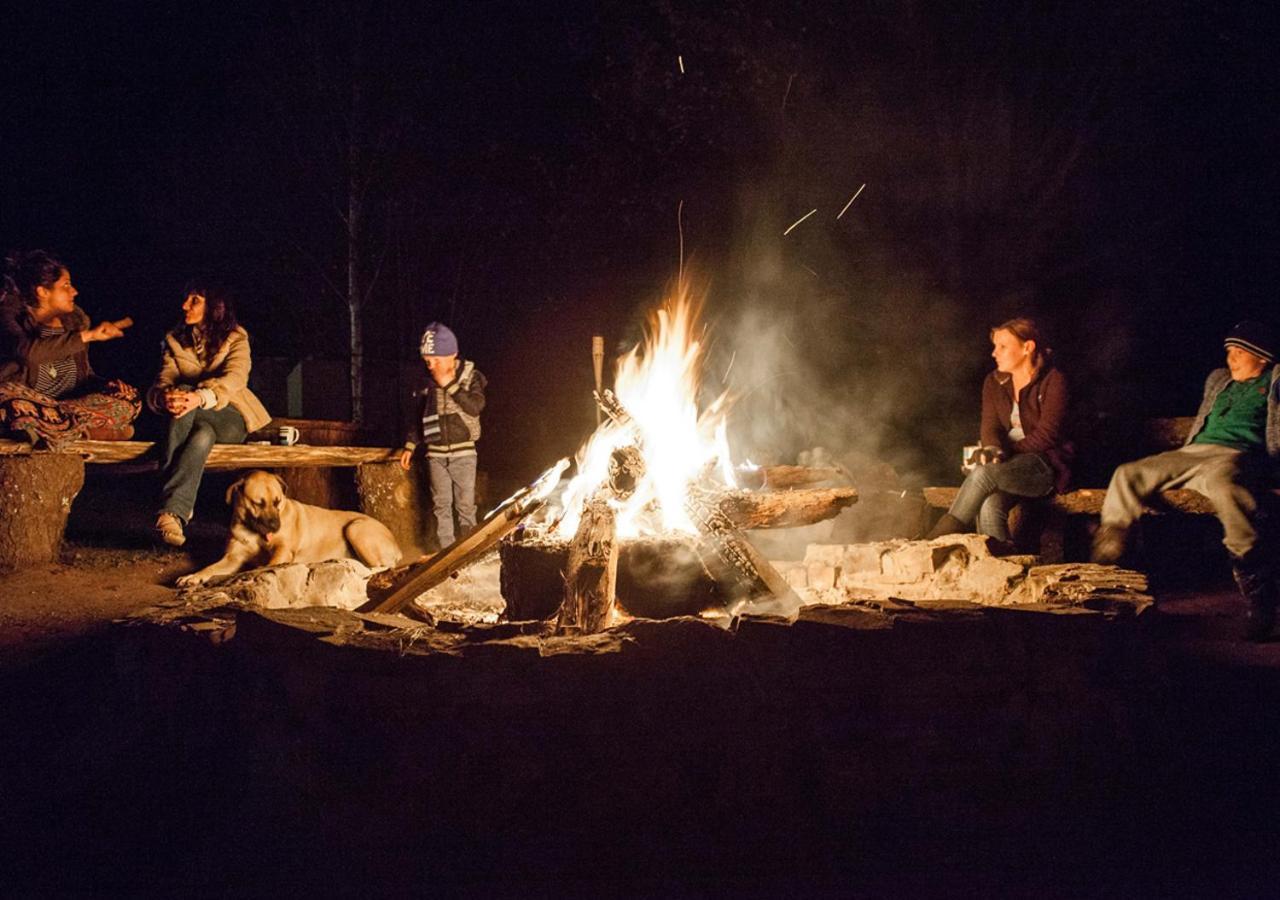 Away With The Fairies Nature Lodge And Backpackers Хогсбак Екстериор снимка