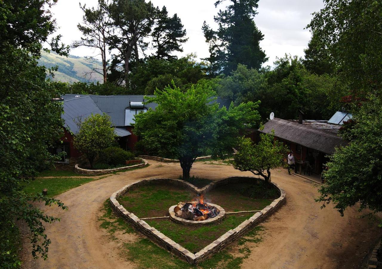 Away With The Fairies Nature Lodge And Backpackers Хогсбак Екстериор снимка
